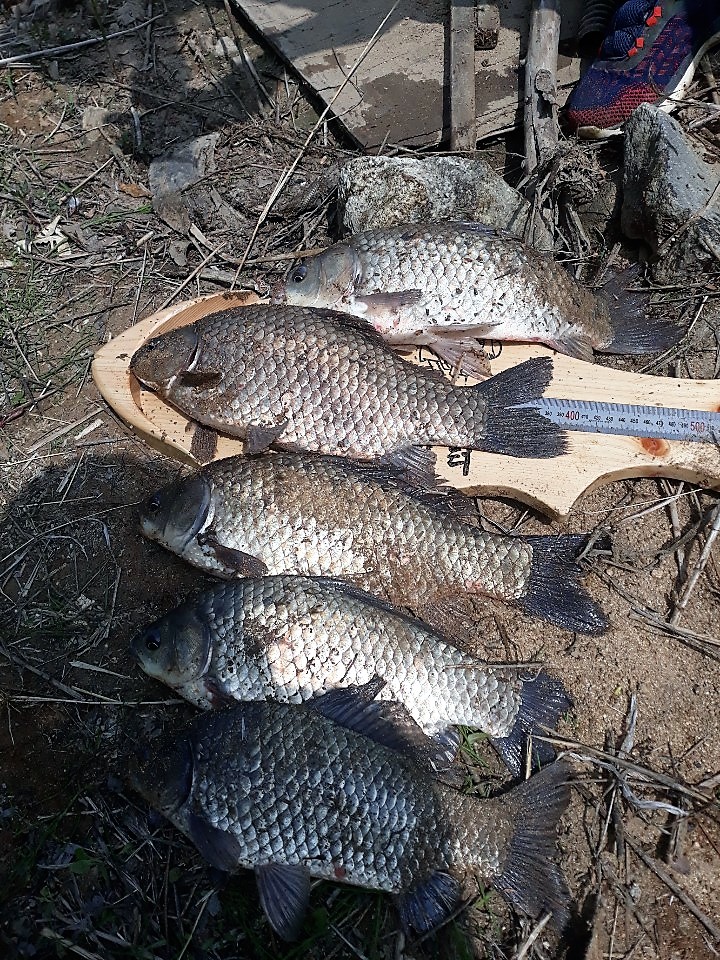 KakaoTalk_20190516_145527601.jpg