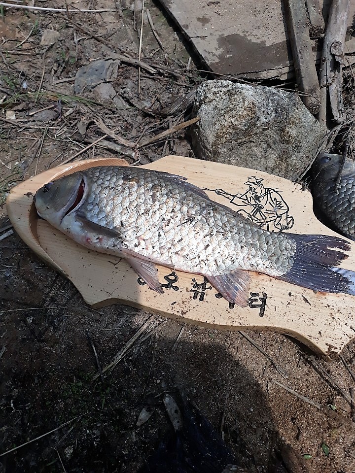 KakaoTalk_20190516_145529807.jpg