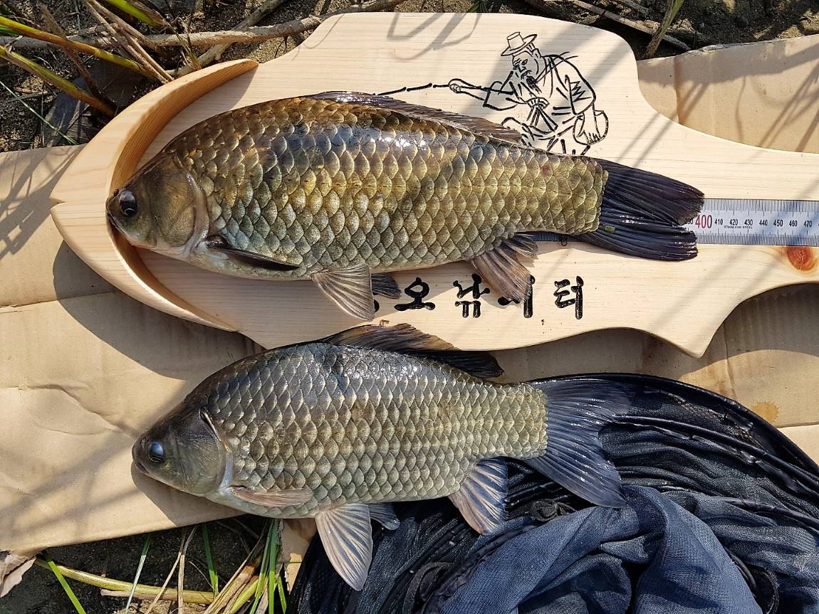 KakaoTalk_20190516_145553528 (1).jpg