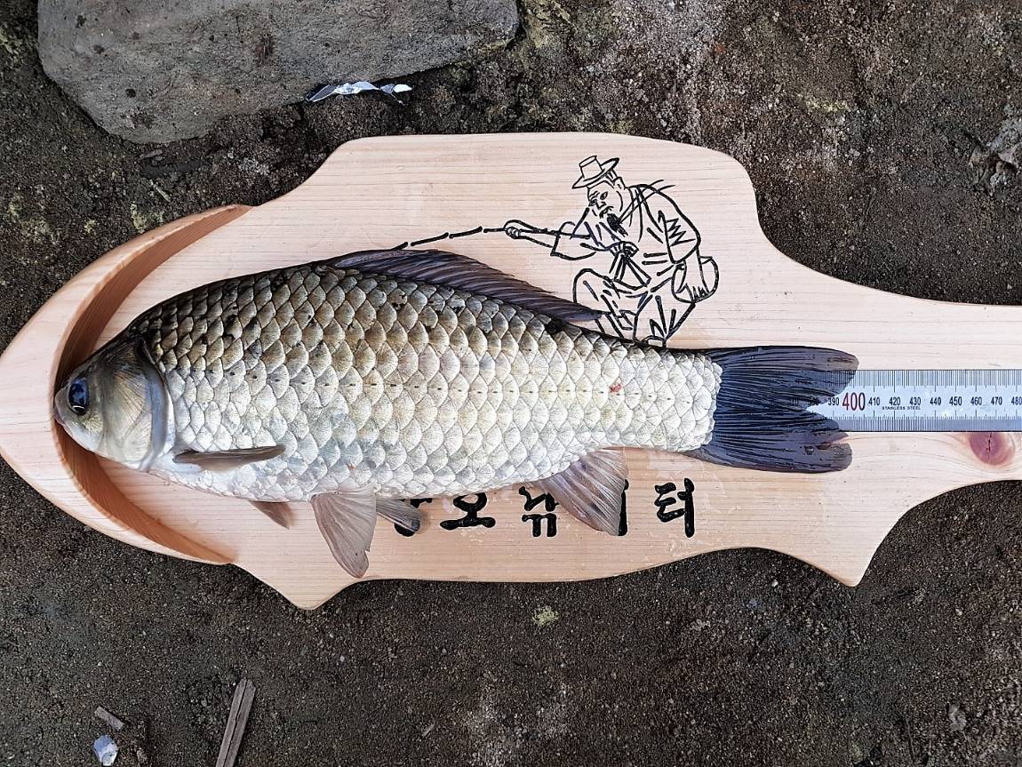 KakaoTalk_20190516_145554788.jpg