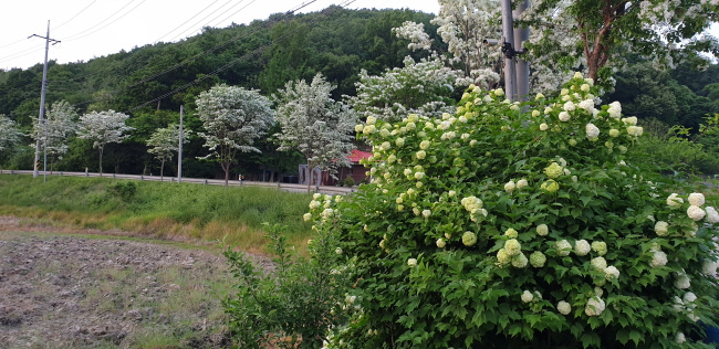 일괄편집_20190516_185155.jpg