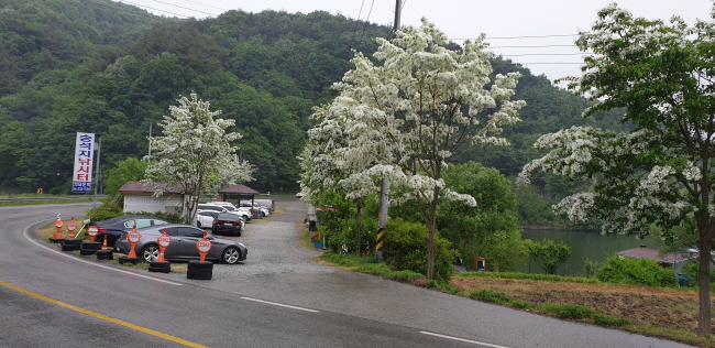 일괄편집_20190518_165626.jpg