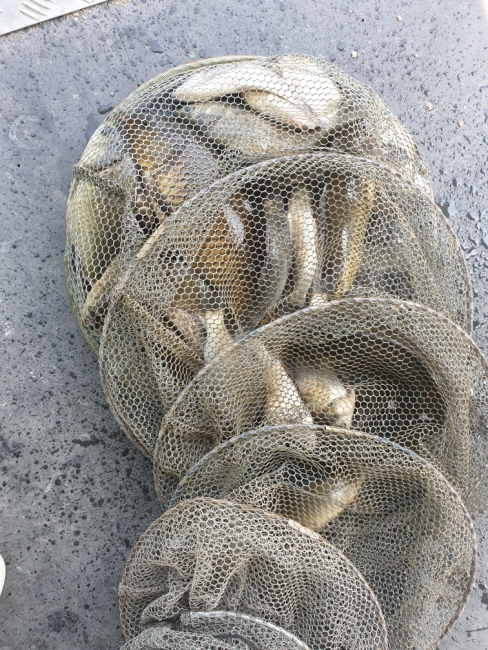 일괄편집_Resized_20190516_101830.jpg