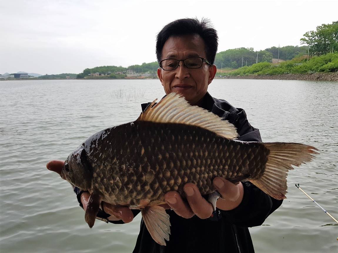 KakaoTalk_20190520_095003477.jpg