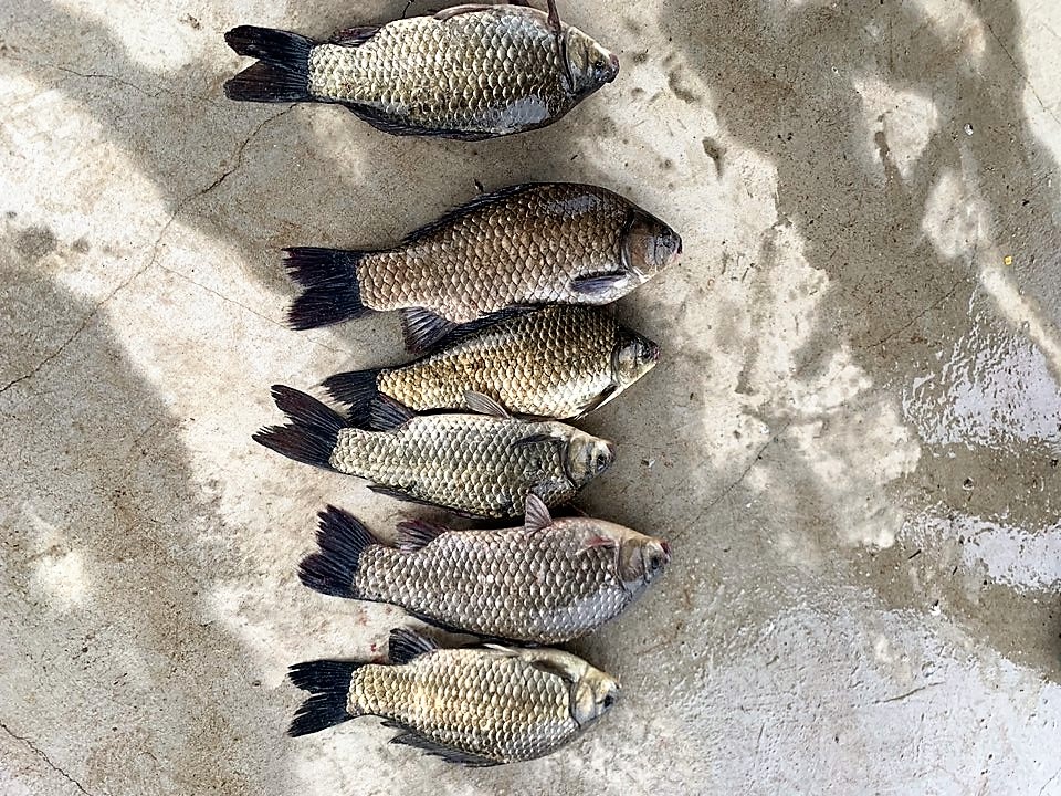 KakaoTalk_20190520_095005852.jpg