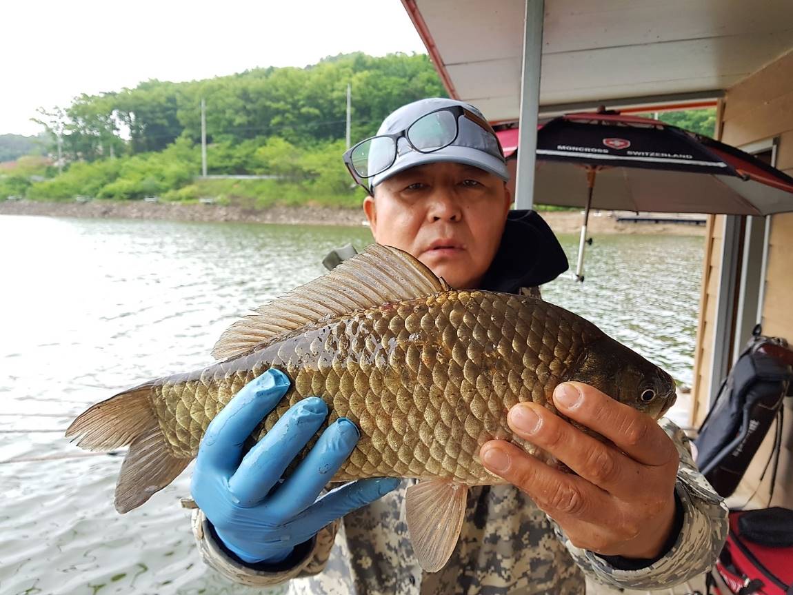 KakaoTalk_20190520_095004969.jpg