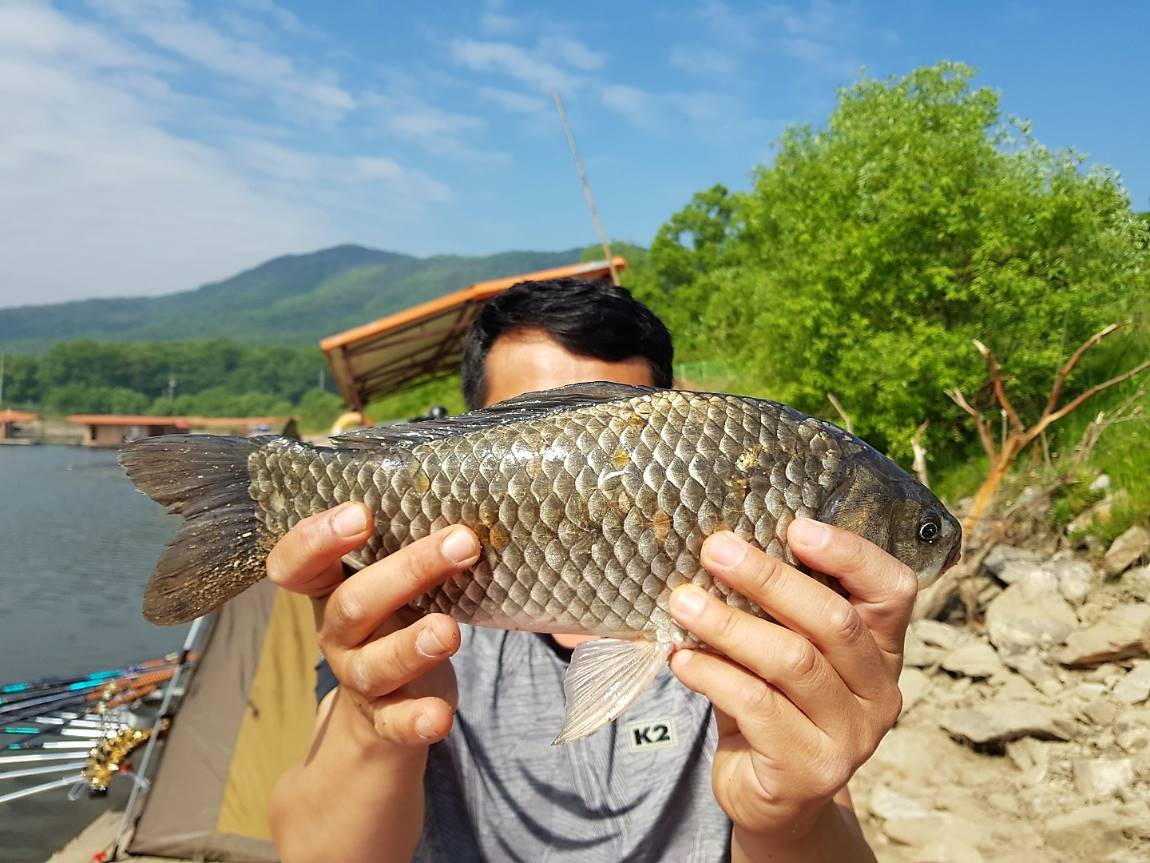 KakaoTalk_20190520_095006964.jpg