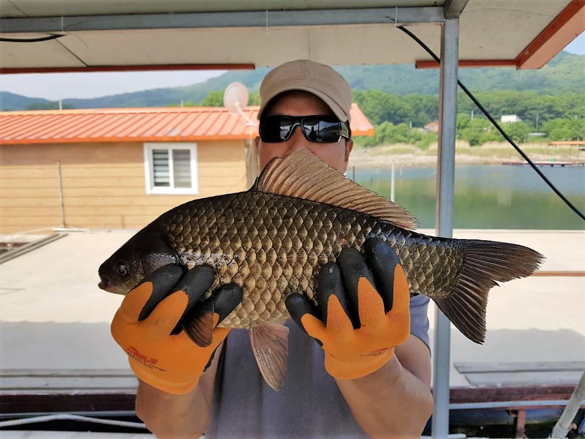 KakaoTalk_20190520_095007708.jpg