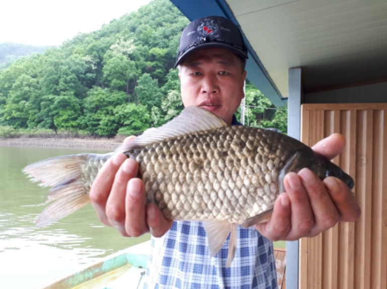 daum_net_20190520_211627.jpg