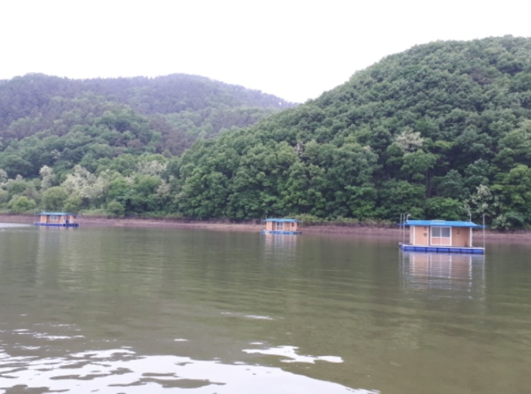 daum_net_20190520_212442.jpg