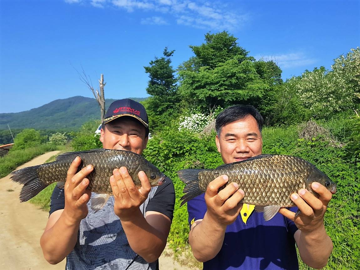 KakaoTalk_20190527_093201518.jpg