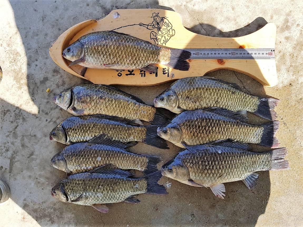 KakaoTalk_20190527_093202477.jpg