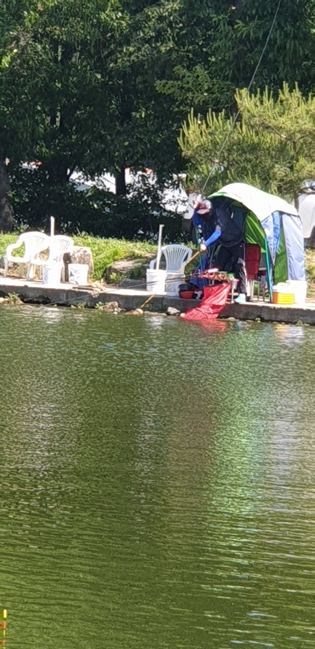 Resized_20190528_151533.jpg