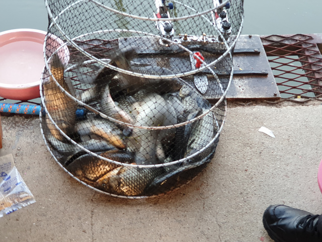 20190529_054234.jpg