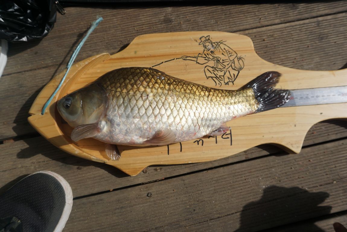 DSC09383.JPG