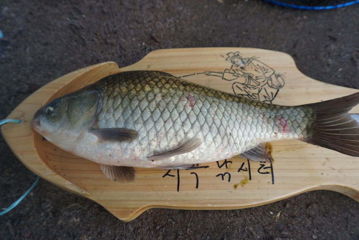 DSC09477.JPG