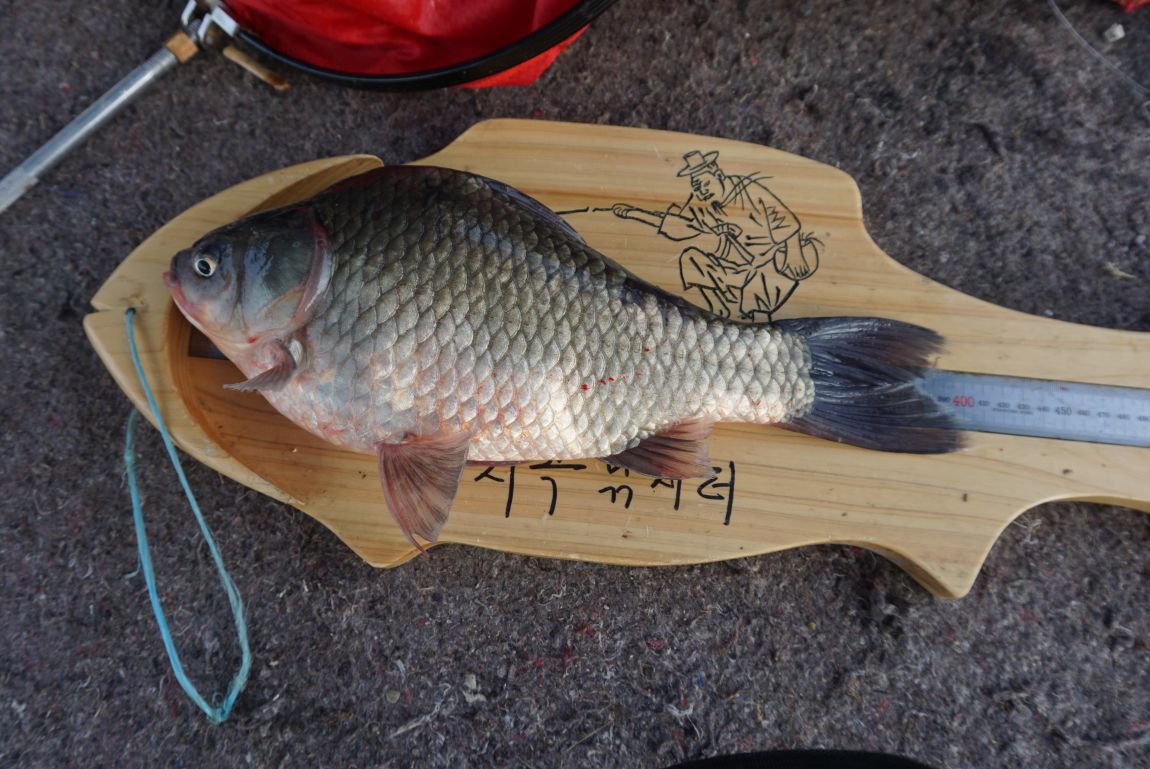DSC09892.JPG