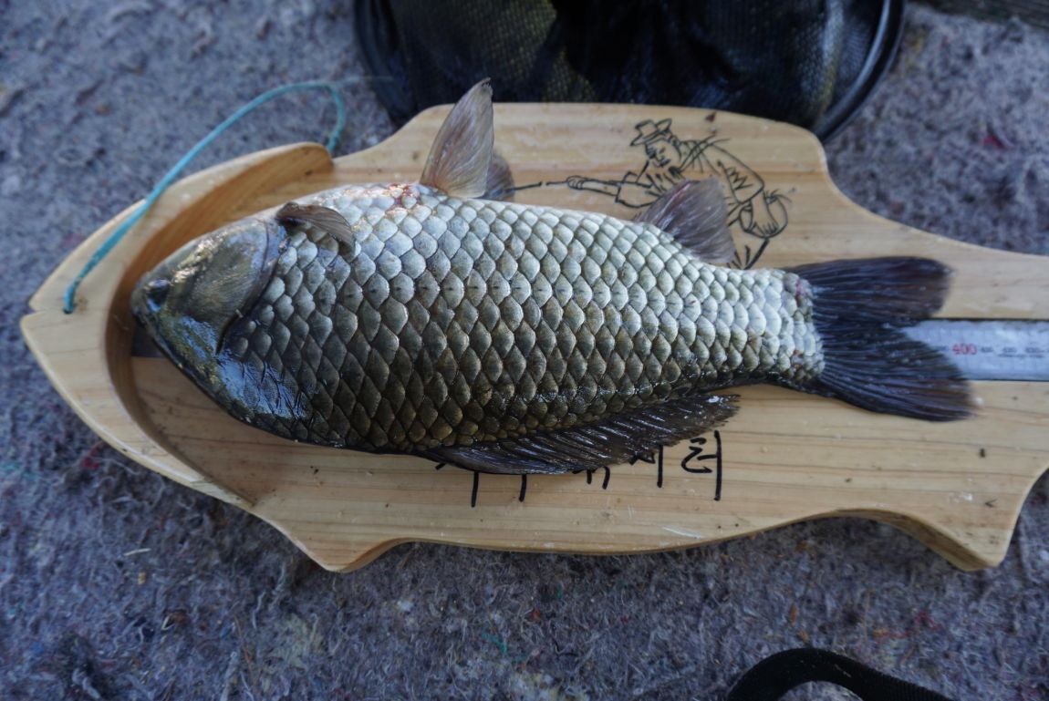 DSC09976.JPG