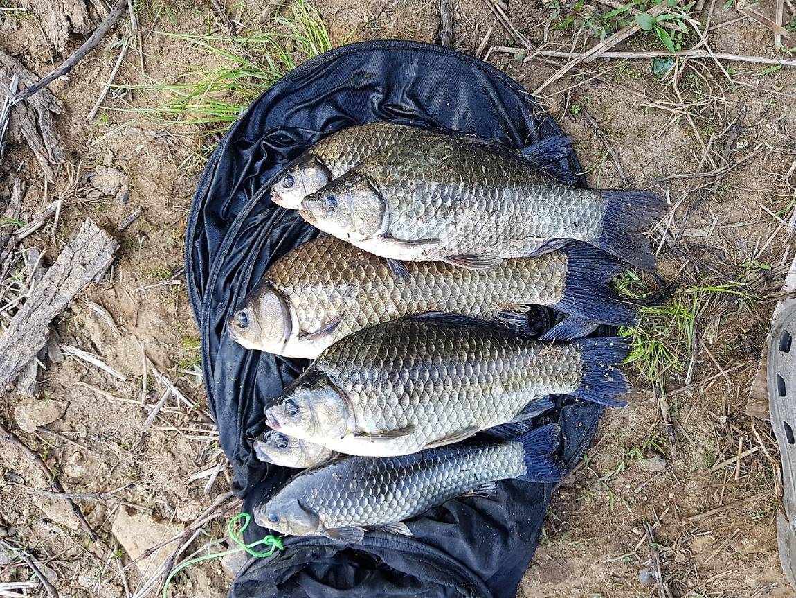 KakaoTalk_20190603_083352467.jpg