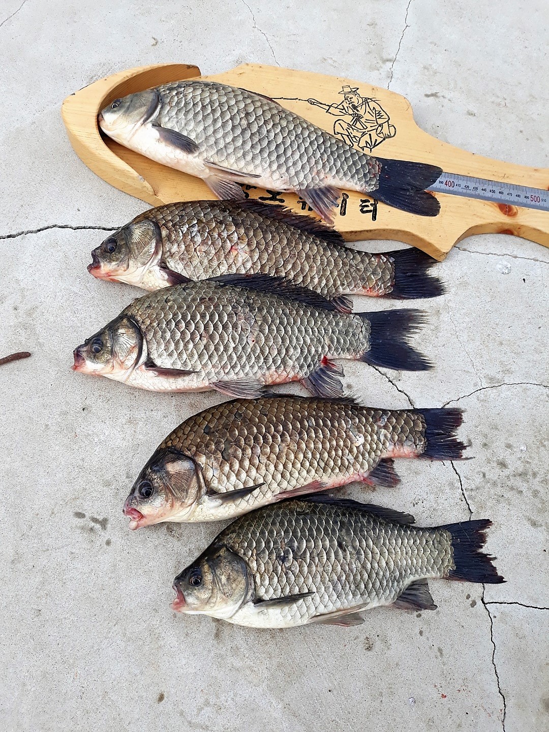 KakaoTalk_20190603_083356257.jpg