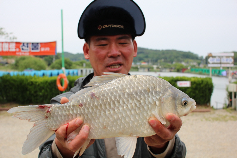 [크기변환]IMG_1971.JPG