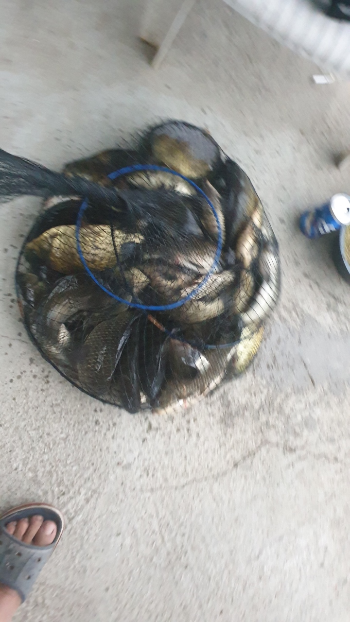 Resized_20190606_191411.jpg
