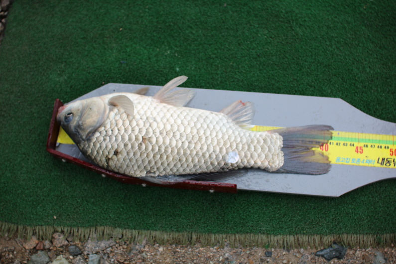 [ũ⺯ȯ]IMG_2197.JPG