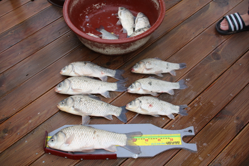 [ũ⺯ȯ]IMG_2263.JPG