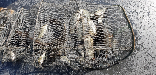 ϰ_20190529_090122.jpg
