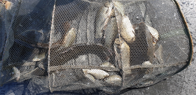 ϰ_20190529_090135.jpg