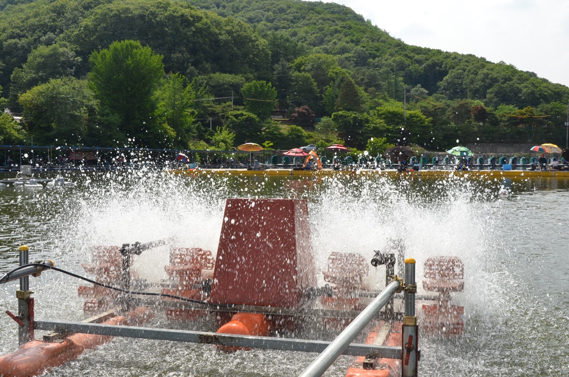 DSC_8915.JPG
