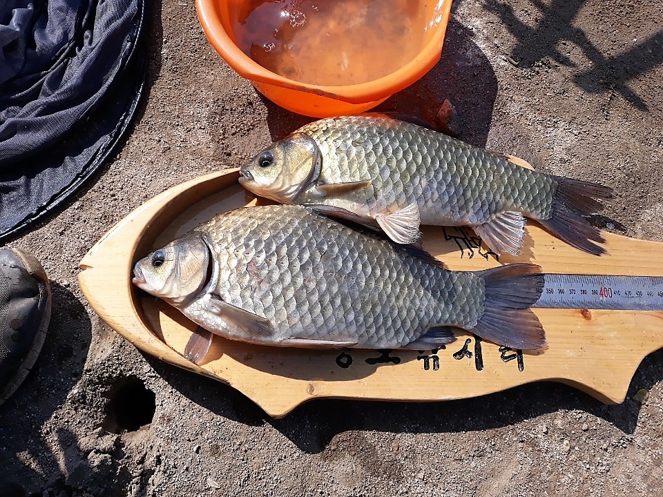 KakaoTalk_20190617_111629111.jpg