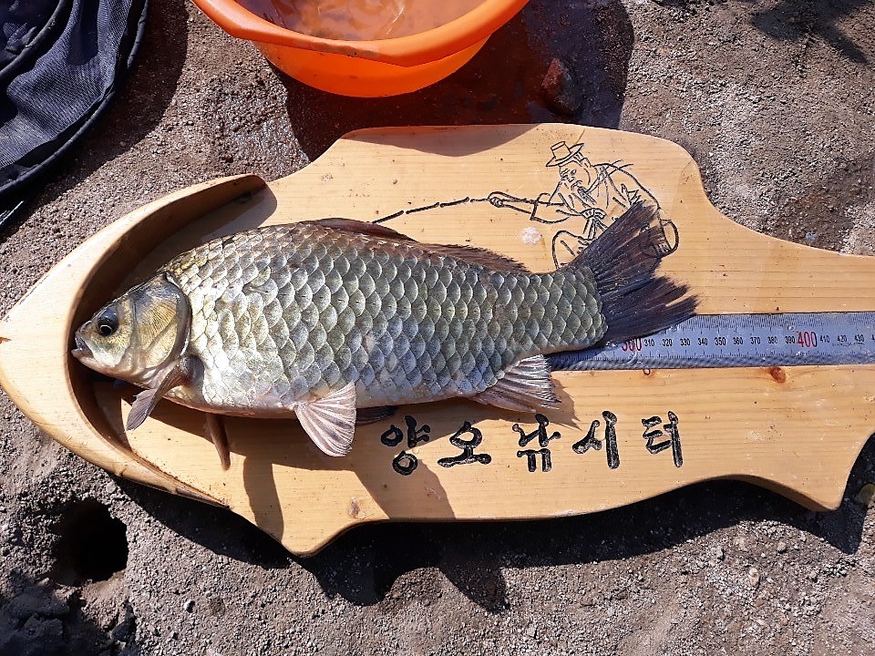 KakaoTalk_20190617_111629467.jpg