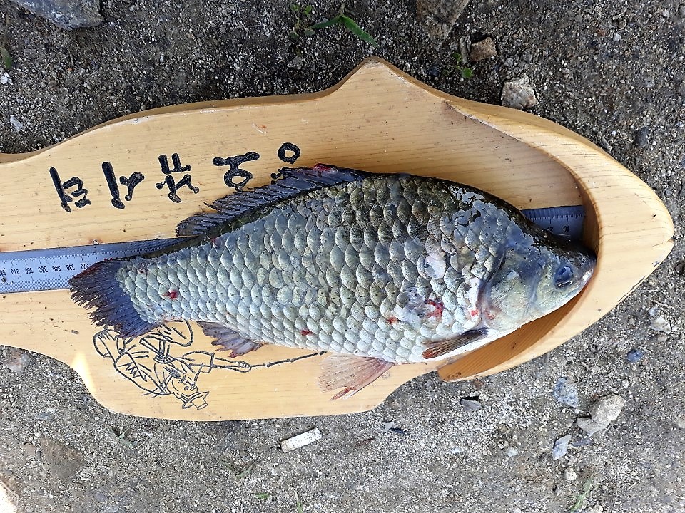 KakaoTalk_20190617_111630449.jpg