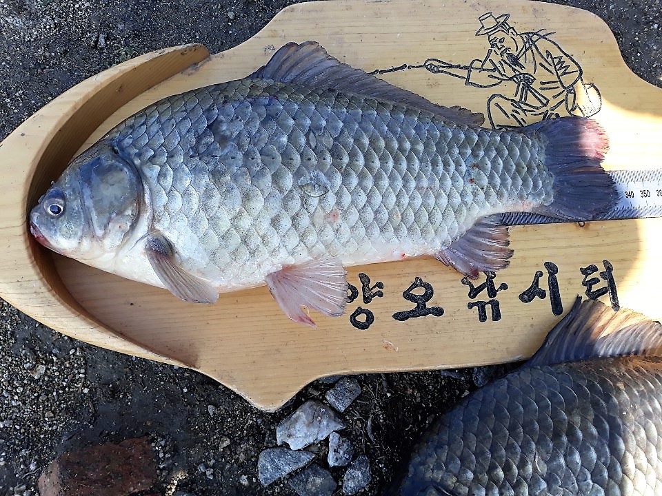 KakaoTalk_20190617_111631775.jpg