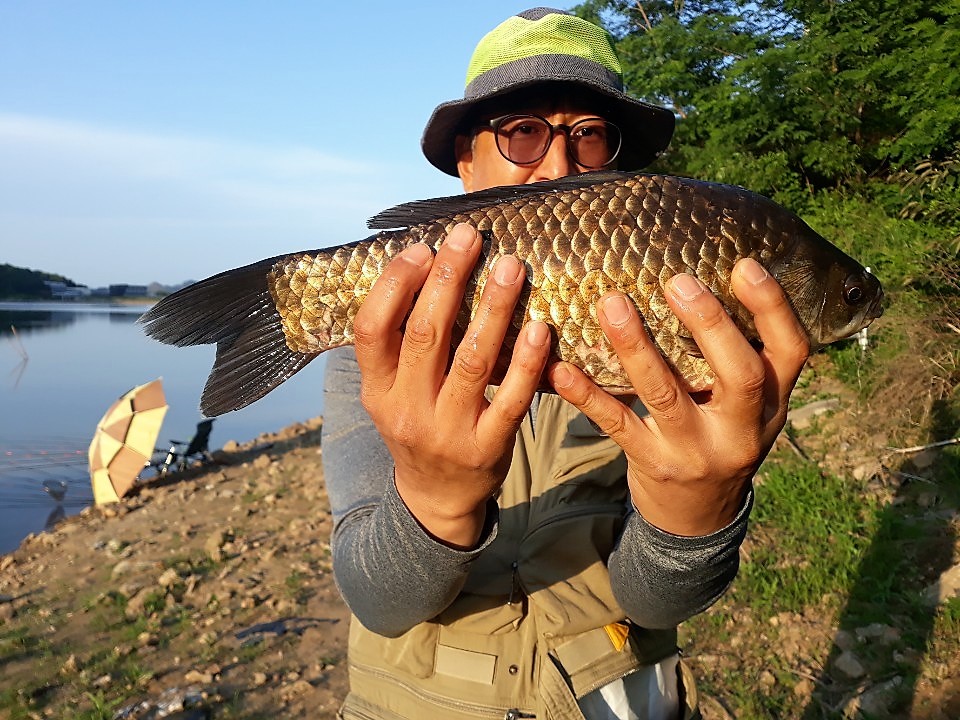 KakaoTalk_20190617_111631342.jpg