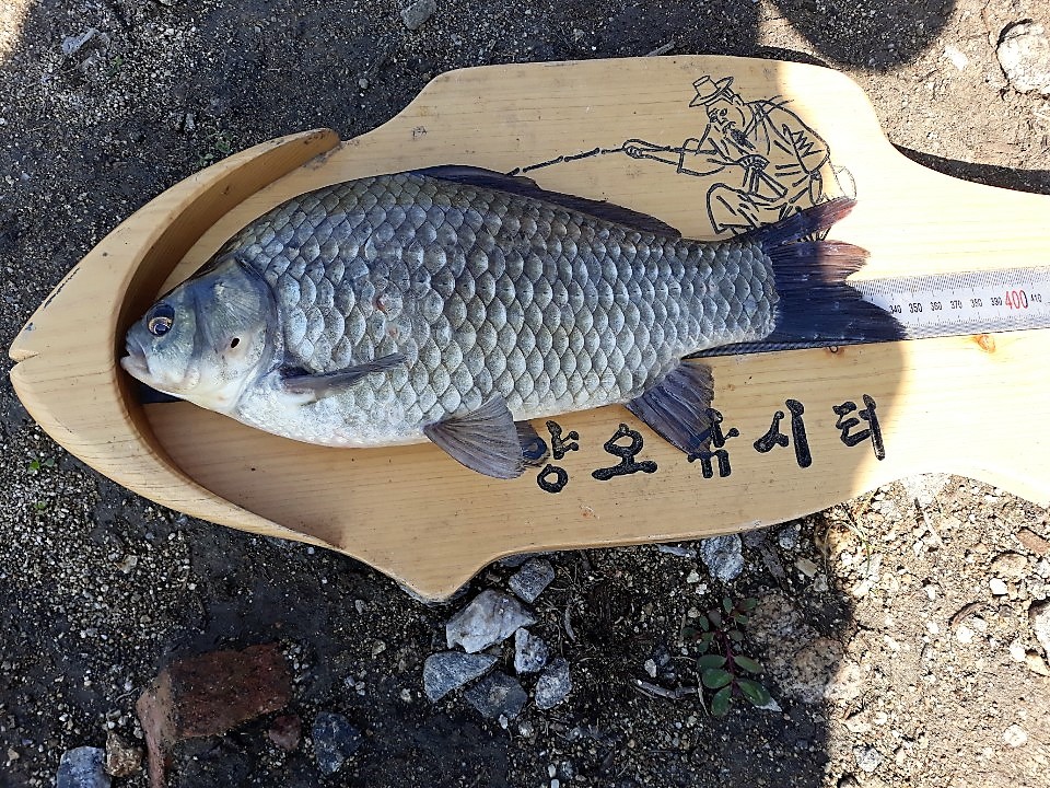 KakaoTalk_20190617_111632025.jpg