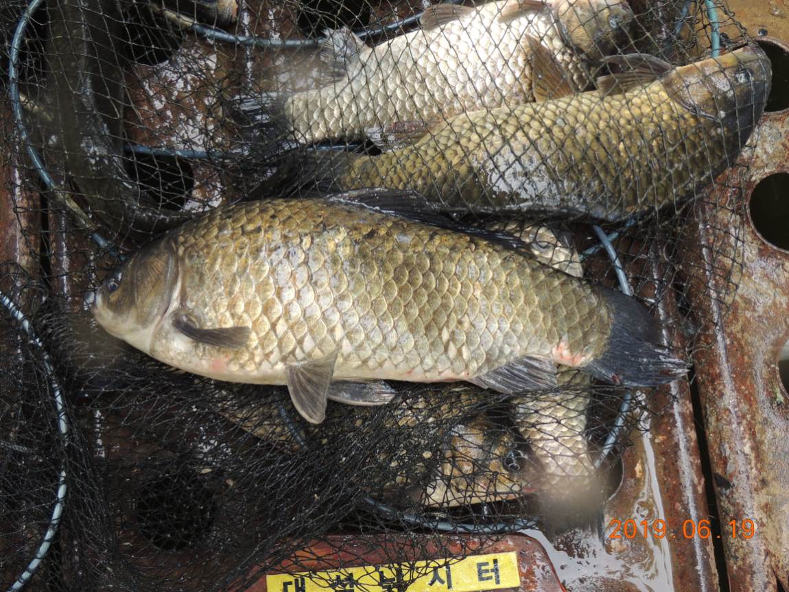 DSCN5553.JPG