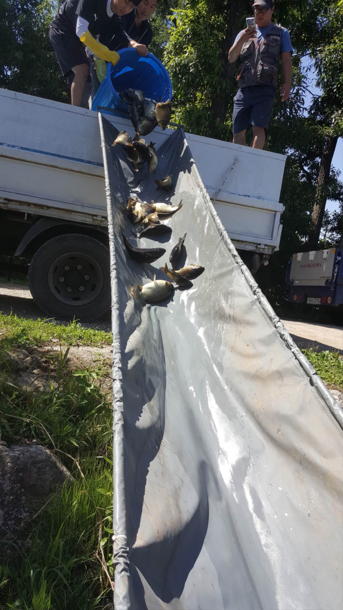 20190622_102721.jpg