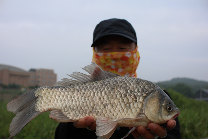 [크기변환]IMG_3377.JPG