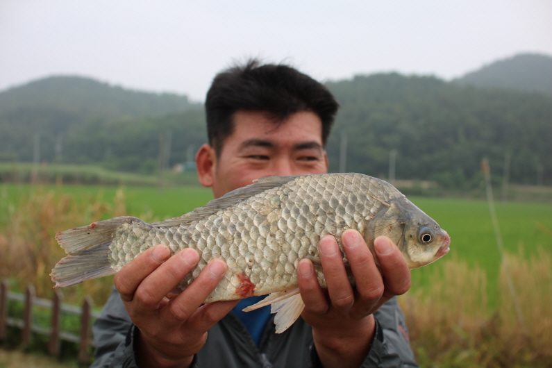 [크기변환]IMG_3386.JPG