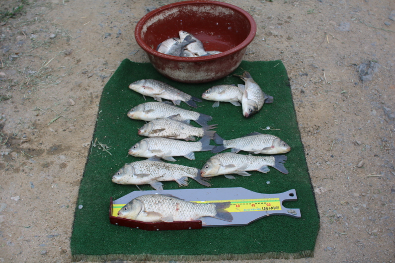[크기변환]IMG_3385.JPG
