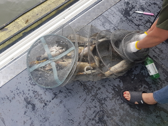 6월30일-Resized_20190630_084745.jpg