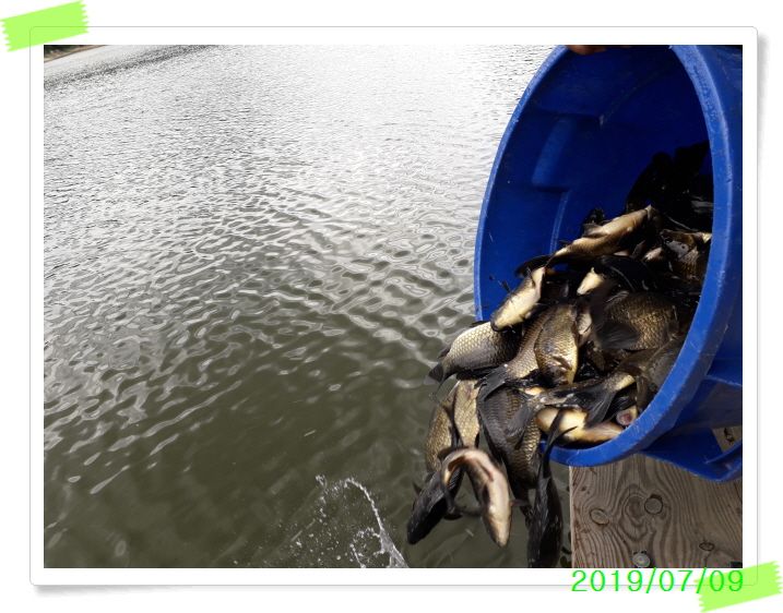 ²Ù¹Ì±â_20190709_122531.jpg