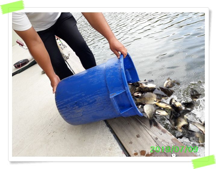 ²Ù¹Ì±â_20190709_123118(0).jpg