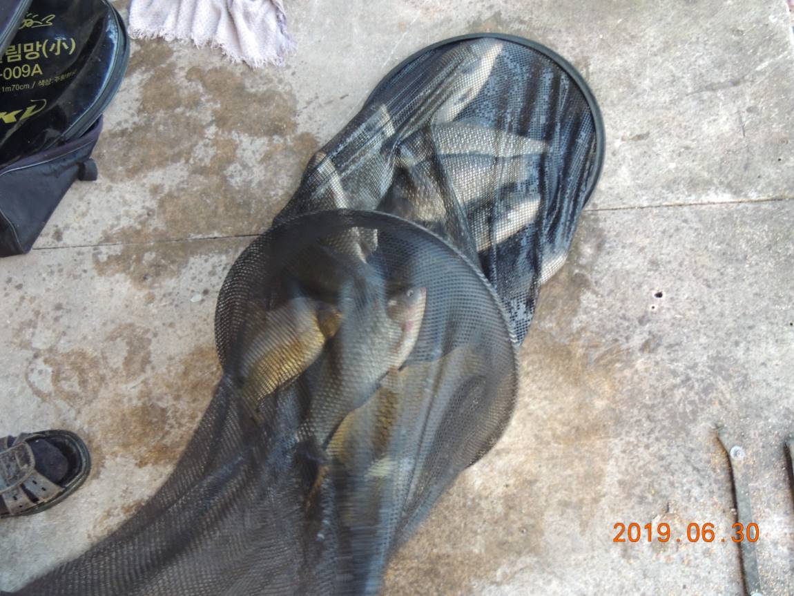DSCN5778.JPG