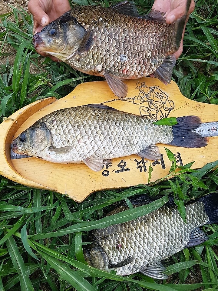 KakaoTalk_20190704_211422362.jpg