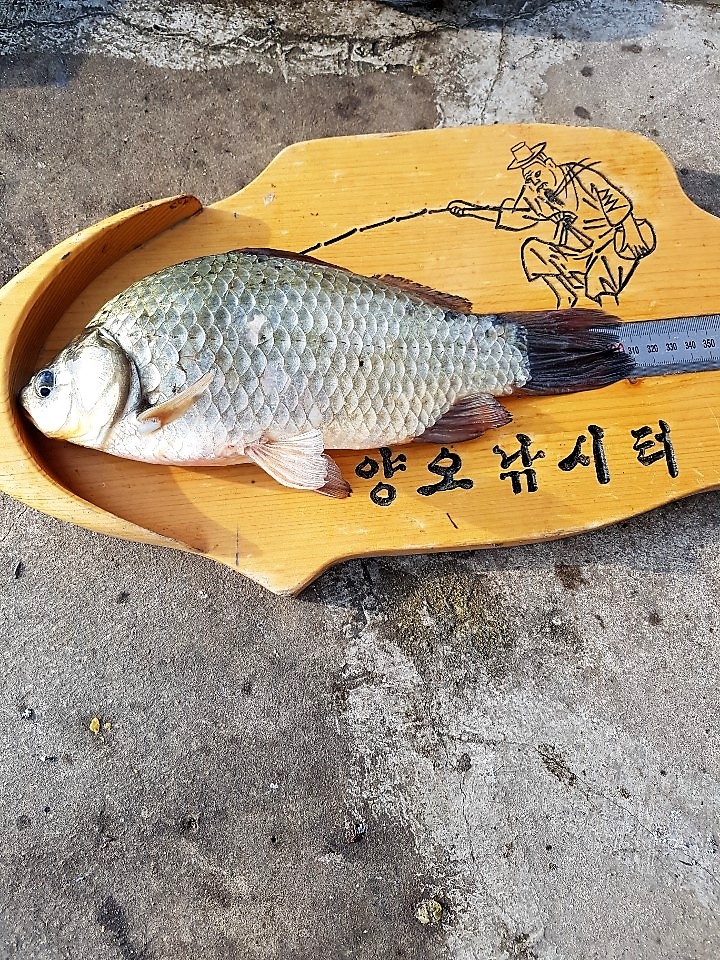 KakaoTalk_20190704_211423121.jpg