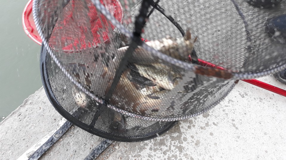 KakaoTalk_20190630_075936855.jpg