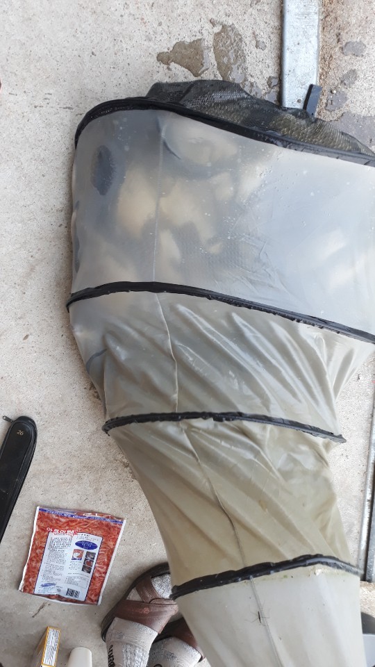 KakaoTalk_20190630_075935543.jpg